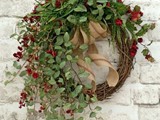 couronne_ete005