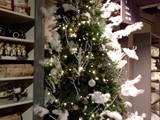 IMG_20161014_194245