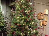 IMG_20161014_195532
