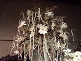 IMG_20161014_195744