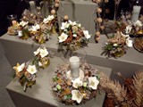IMG_20161014_195924