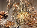 IMG_20161014_195936