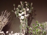 IMG_20161014_200305