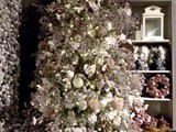 IMG_20161014_200708
