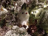 IMG_20161014_200720
