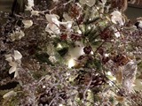 IMG_20161014_200726