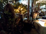 IMG_20161014_201342