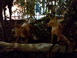 IMG_20161014_201351