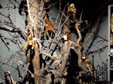 IMG_20161014_201425