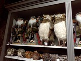 IMG_20161014_201537