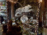IMG_20161014_201618